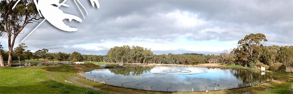 Marron Pond